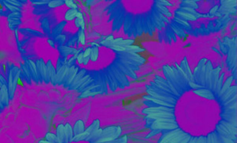 ab67616d00001e02534450d390ca76fe60949420-1-1-780x470.jpg